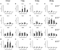 Brainsci 03 00294 g004 200