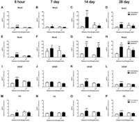 Brainsci 03 00294 g005 200