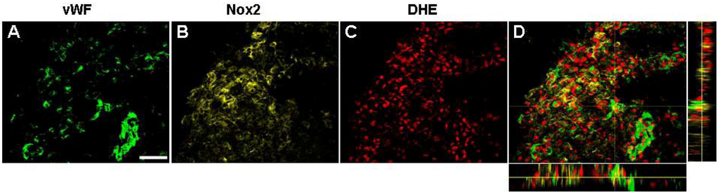 Brainsci 03 00294 g007 1024
