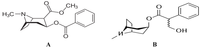 Brainsci 03 00504 g001 200