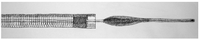 Brainsci 03 00521 g002 200