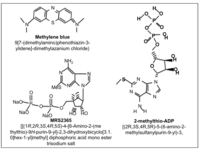 Brainsci 03 00540 g003 200