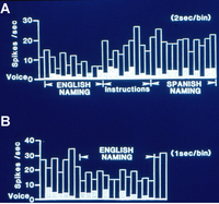 Brainsci 03 00627 g001 200