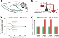 Brainsci 03 00704 g001 200