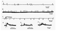 Brainsci 03 00800 g006 200
