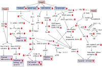 Brainsci 03 00941 g003 200