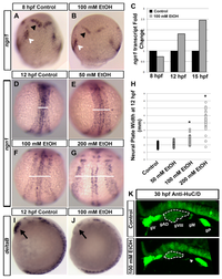 Brainsci 03 00964 g001 200