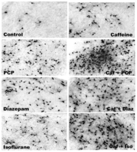 Brainsci 03 01128 g007 200