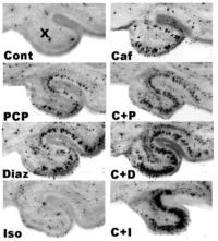 Brainsci 03 01128 g008 200