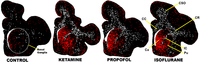 Brainsci 03 01153 g003 200