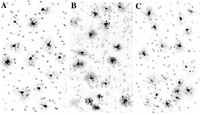 Brainsci 03 01153 g005 200