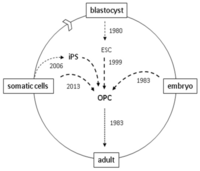 Brainsci 03 01215 g001 200