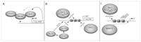 Brainsci 03 01215 g002 200