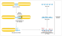 Brainsci 03 01282 g003 200