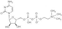 Brainsci 03 01395 g001 200