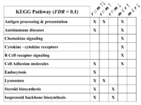 Brainsci 03 01417 g006 200