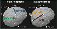 Brainsci 03 01445 g001 200
