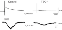 Brainsci 03 01461 g005 200