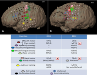 Brainsci 03 01597 g009 200
