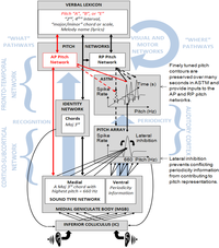 Brainsci 03 01615 g005 200