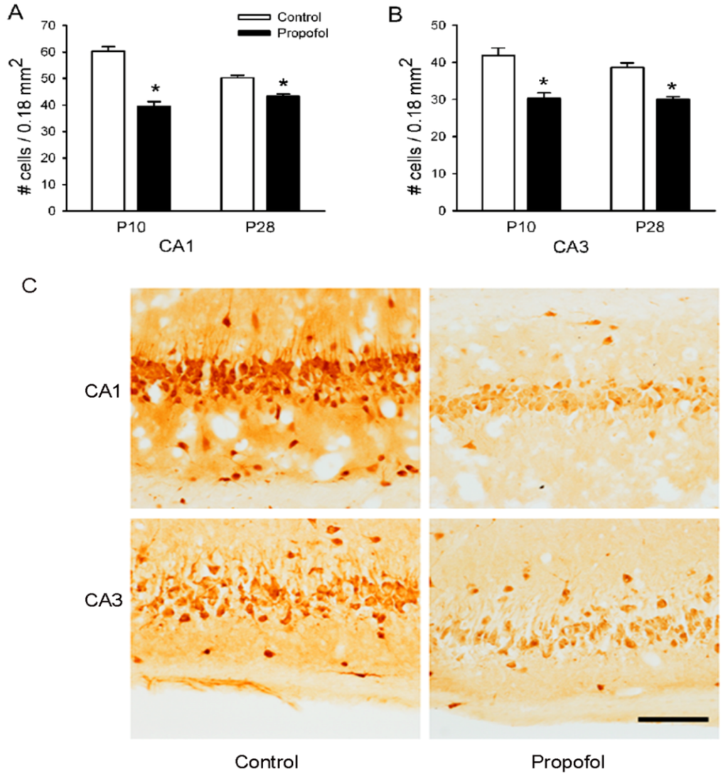 Brainsci 04 00356 g004 1024
