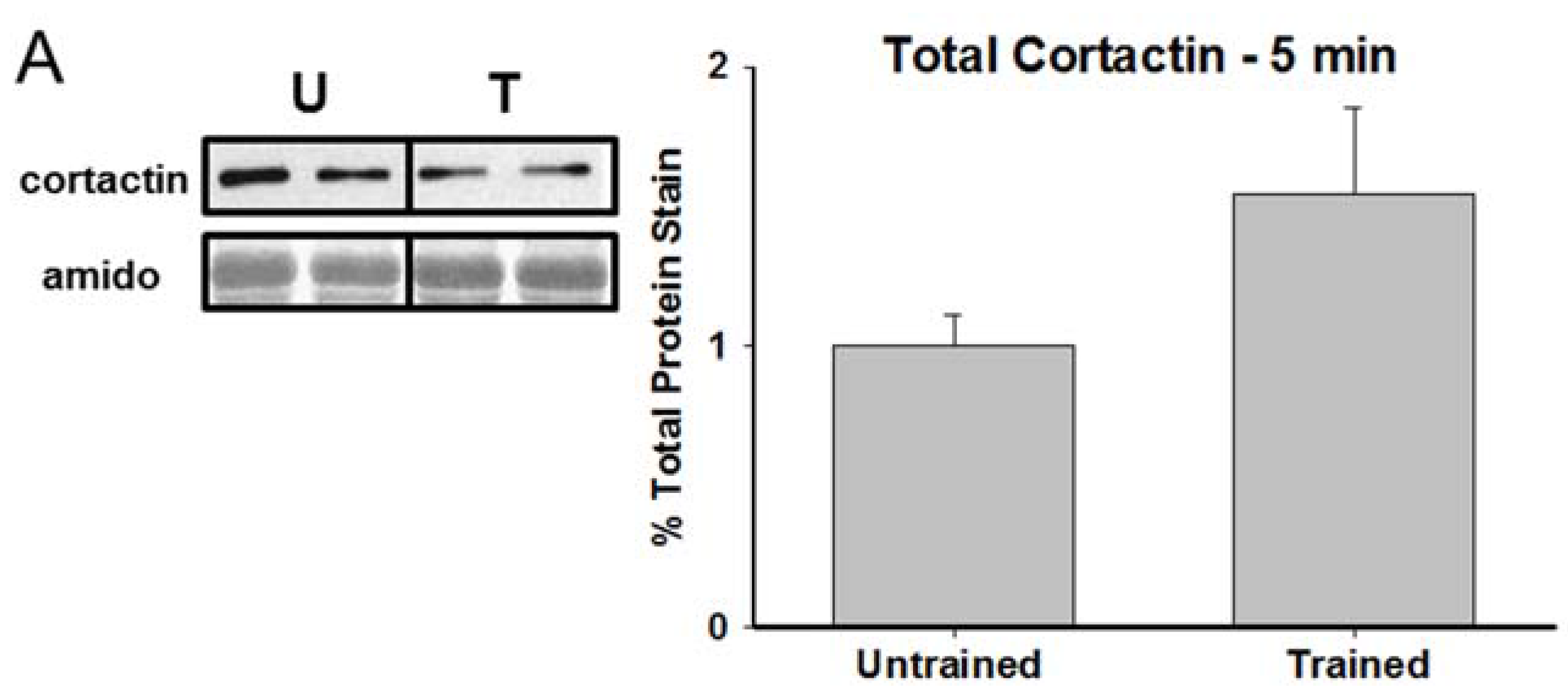Brainsci 05 00241 g002a