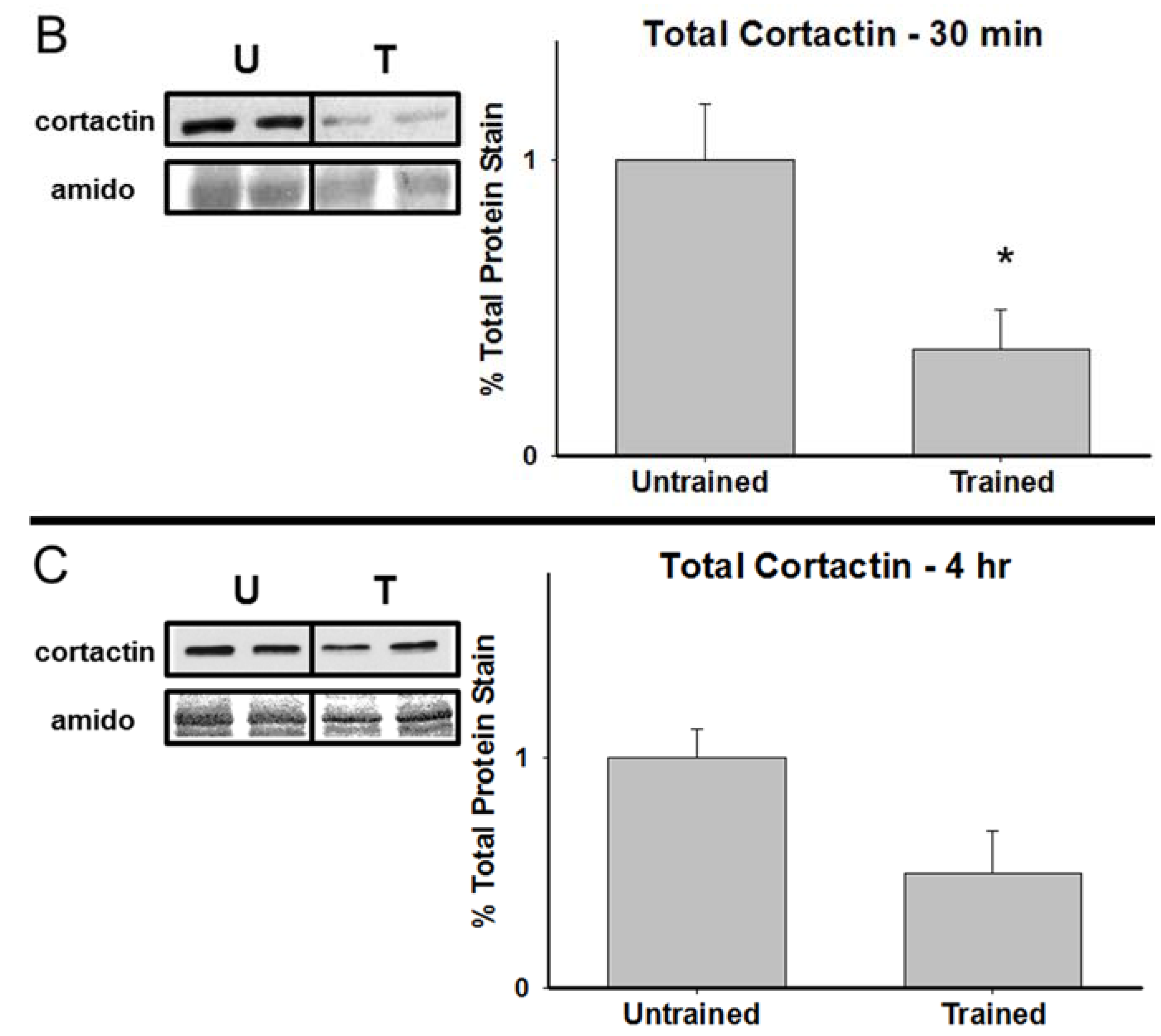 Brainsci 05 00241 g002b