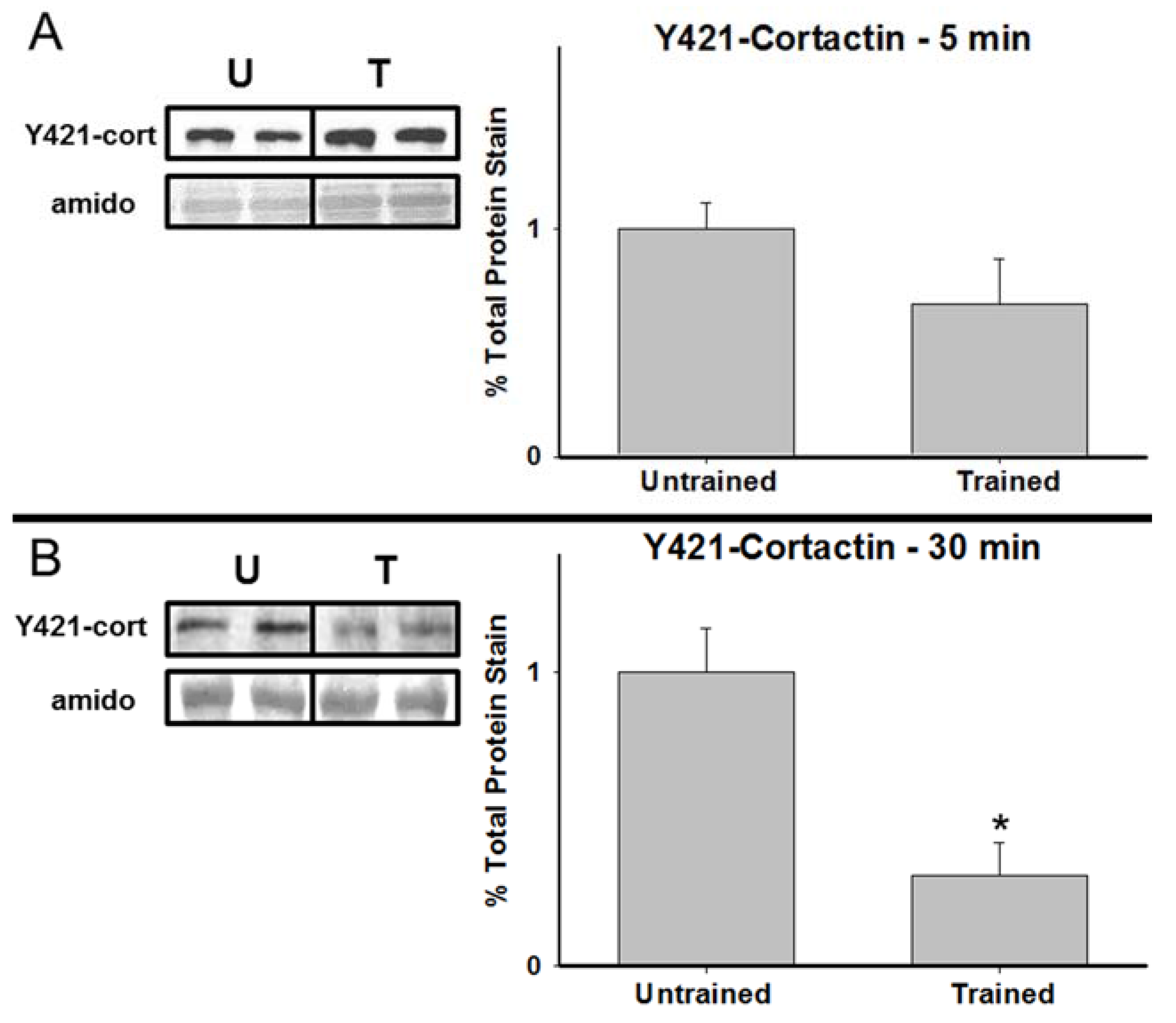 Brainsci 05 00241 g003a