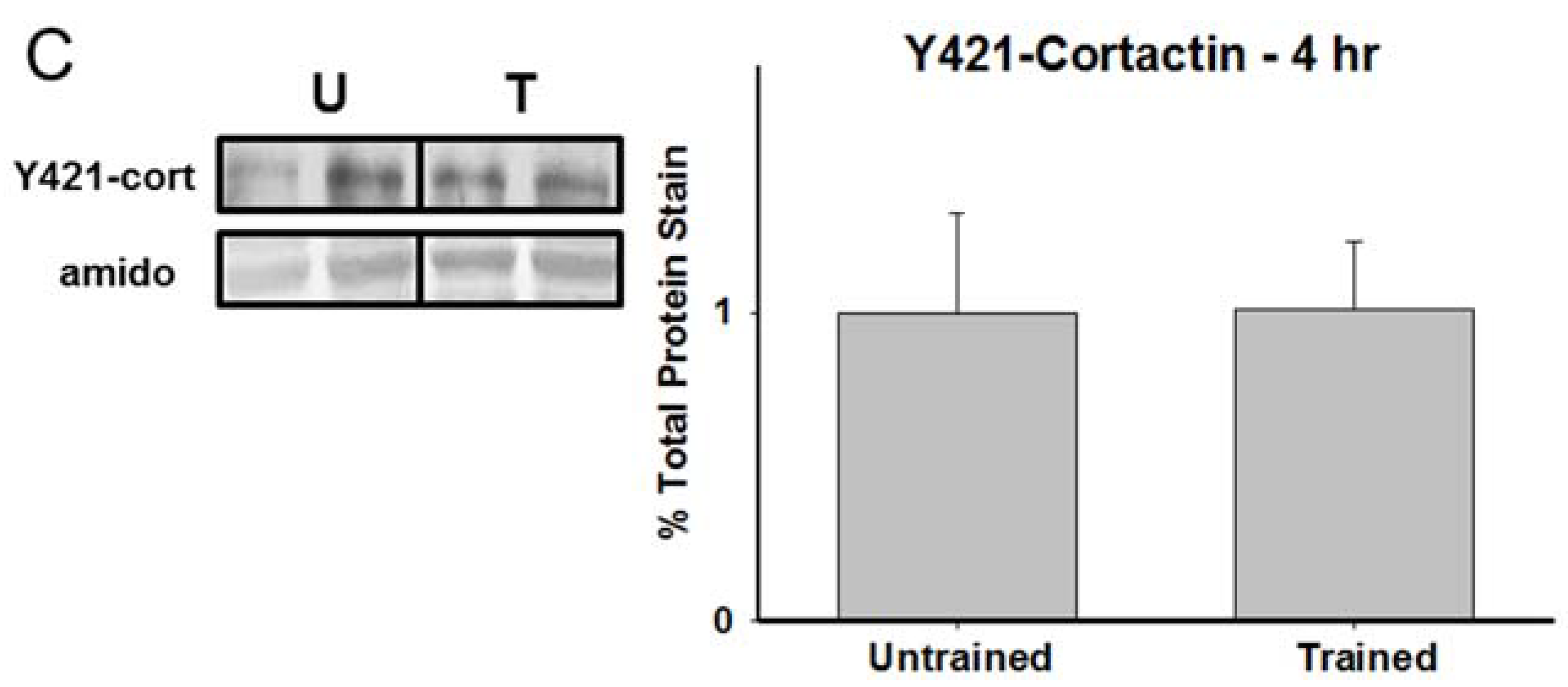 Brainsci 05 00241 g003b