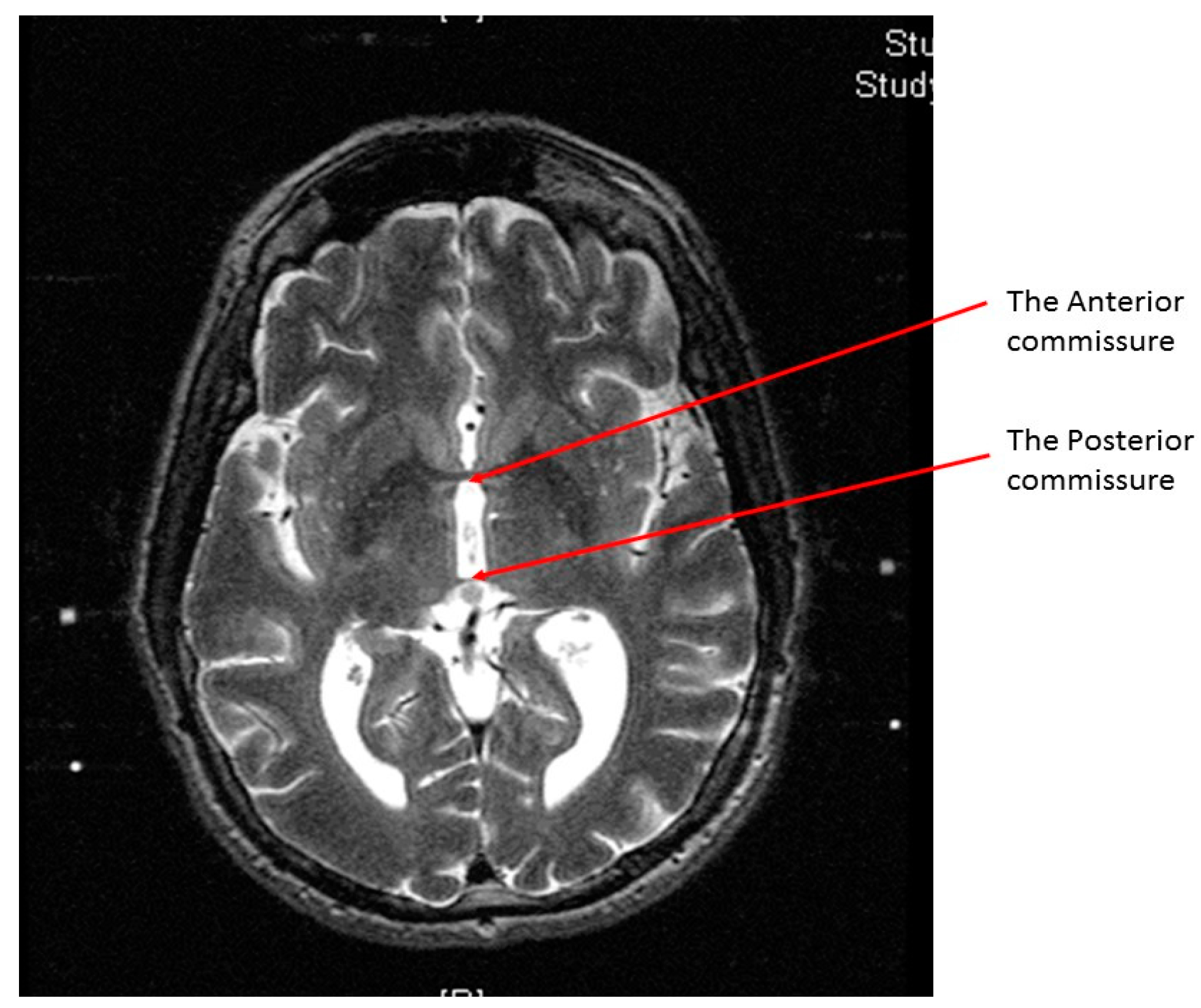 read the clinical science of neurologic rehabilitation contemporary