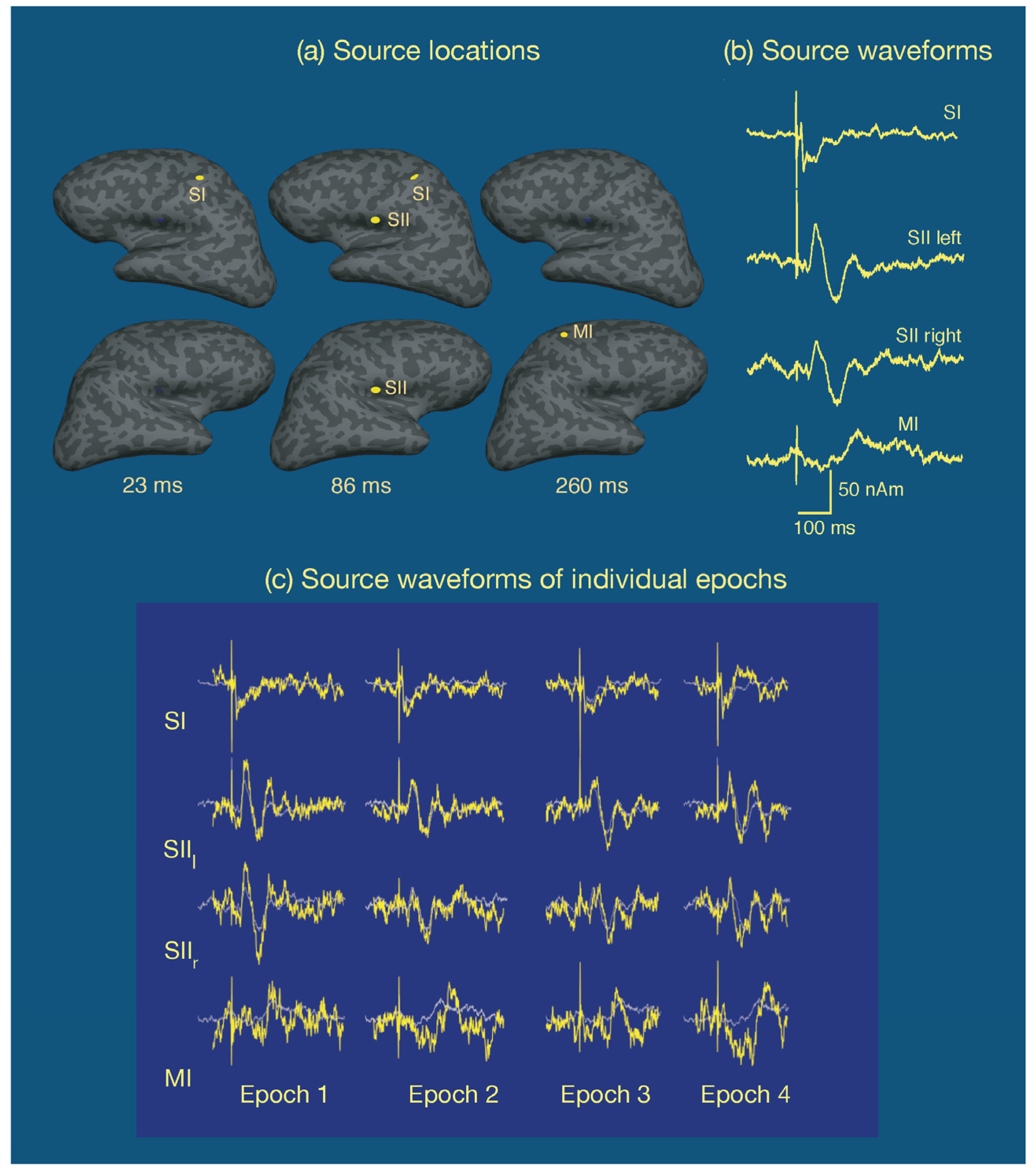 Brainsci 07 00058 g008