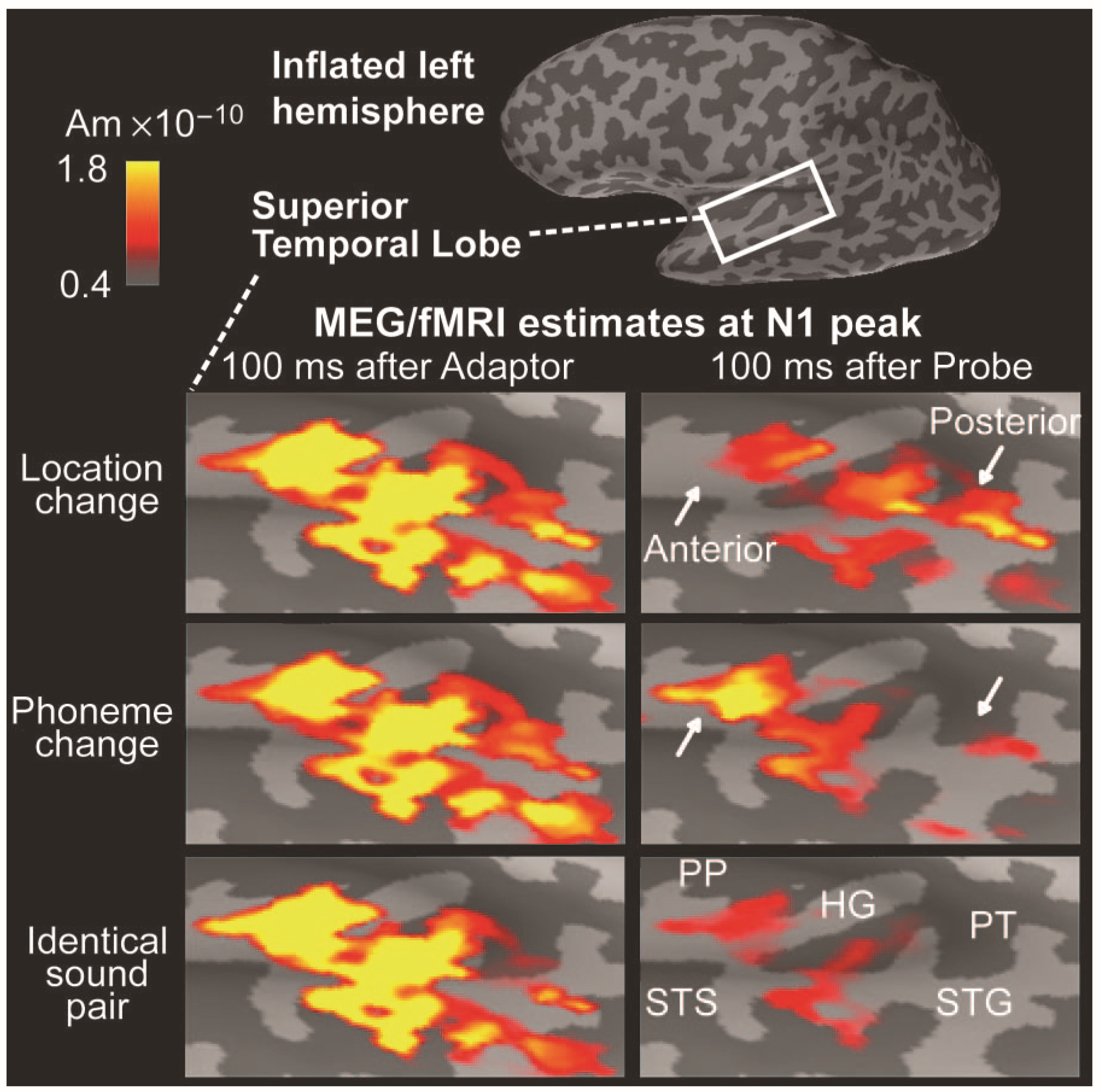 Brainsci 07 00058 g010