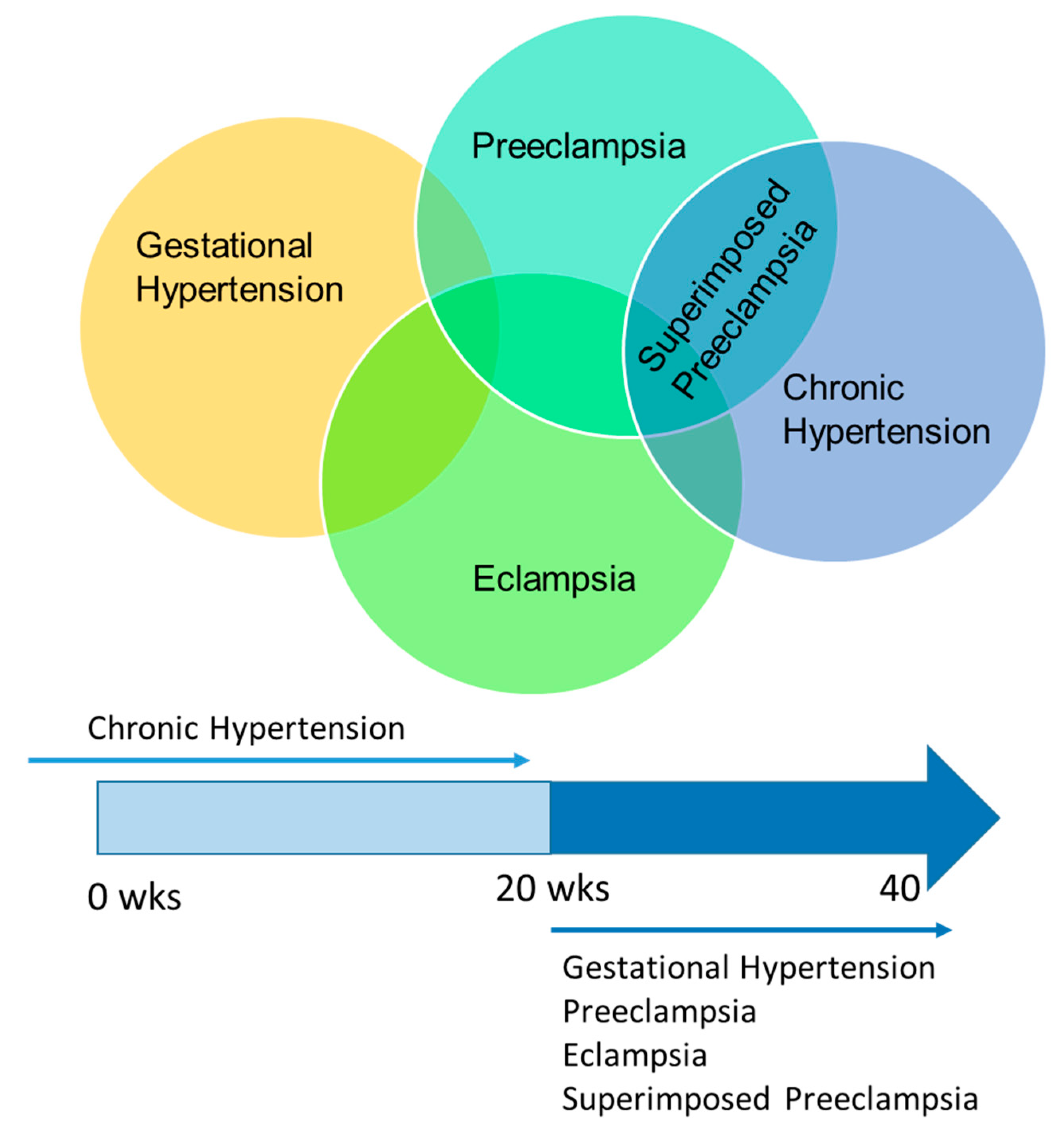Brainsci 09 00224 g002