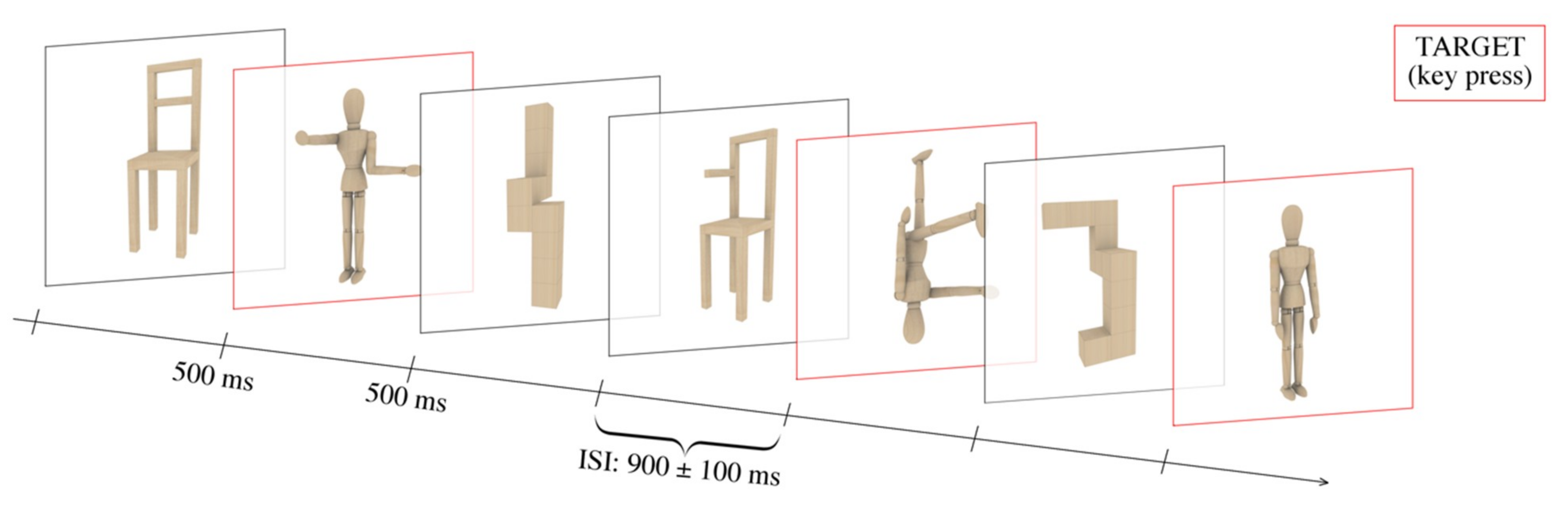 Brainsci 09 00315 g002