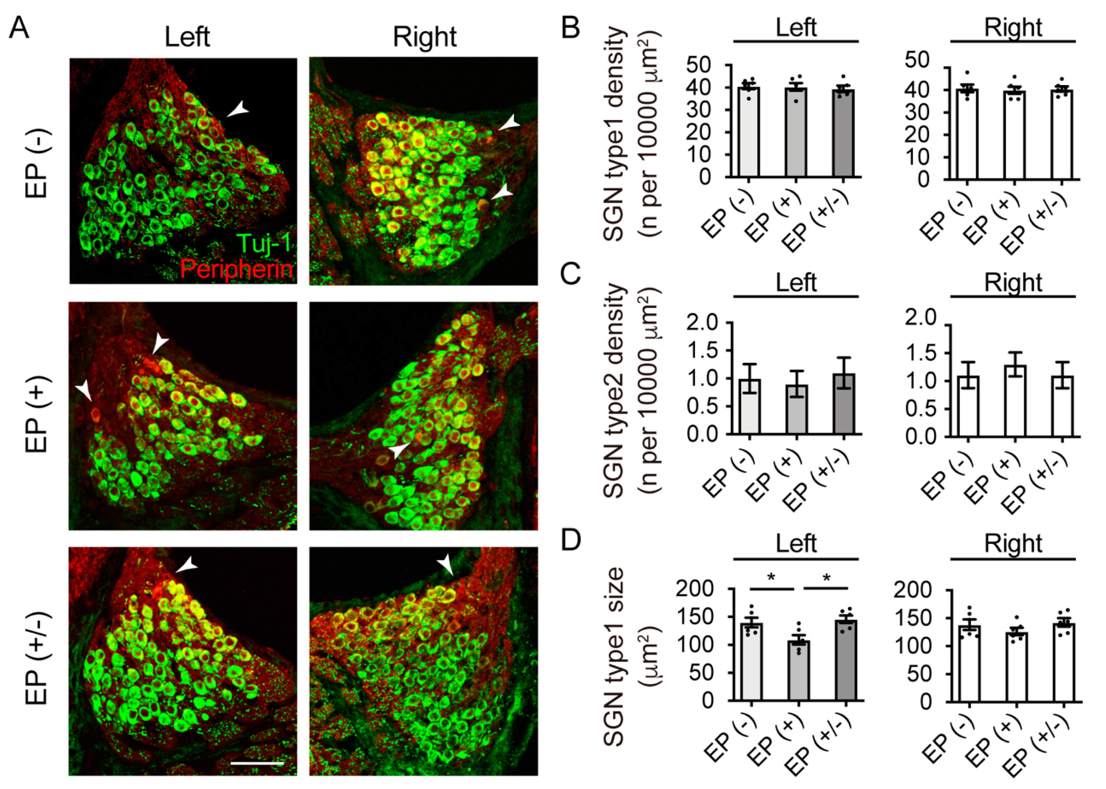 Brainsci 10 00260 g003 Brainsci 10 00260 g003