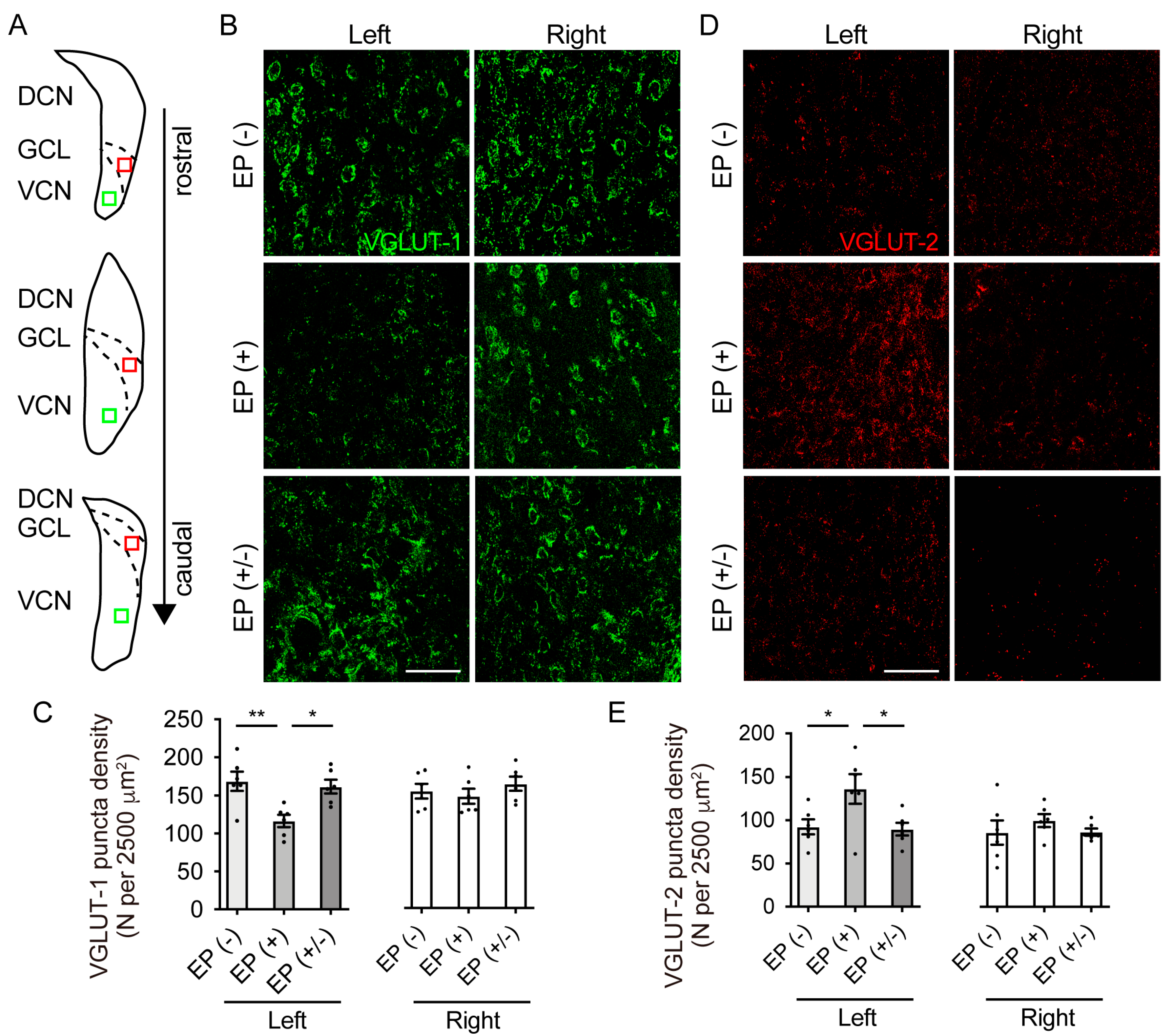 Brainsci 10 00260 g005 Brainsci 10 00260 g005