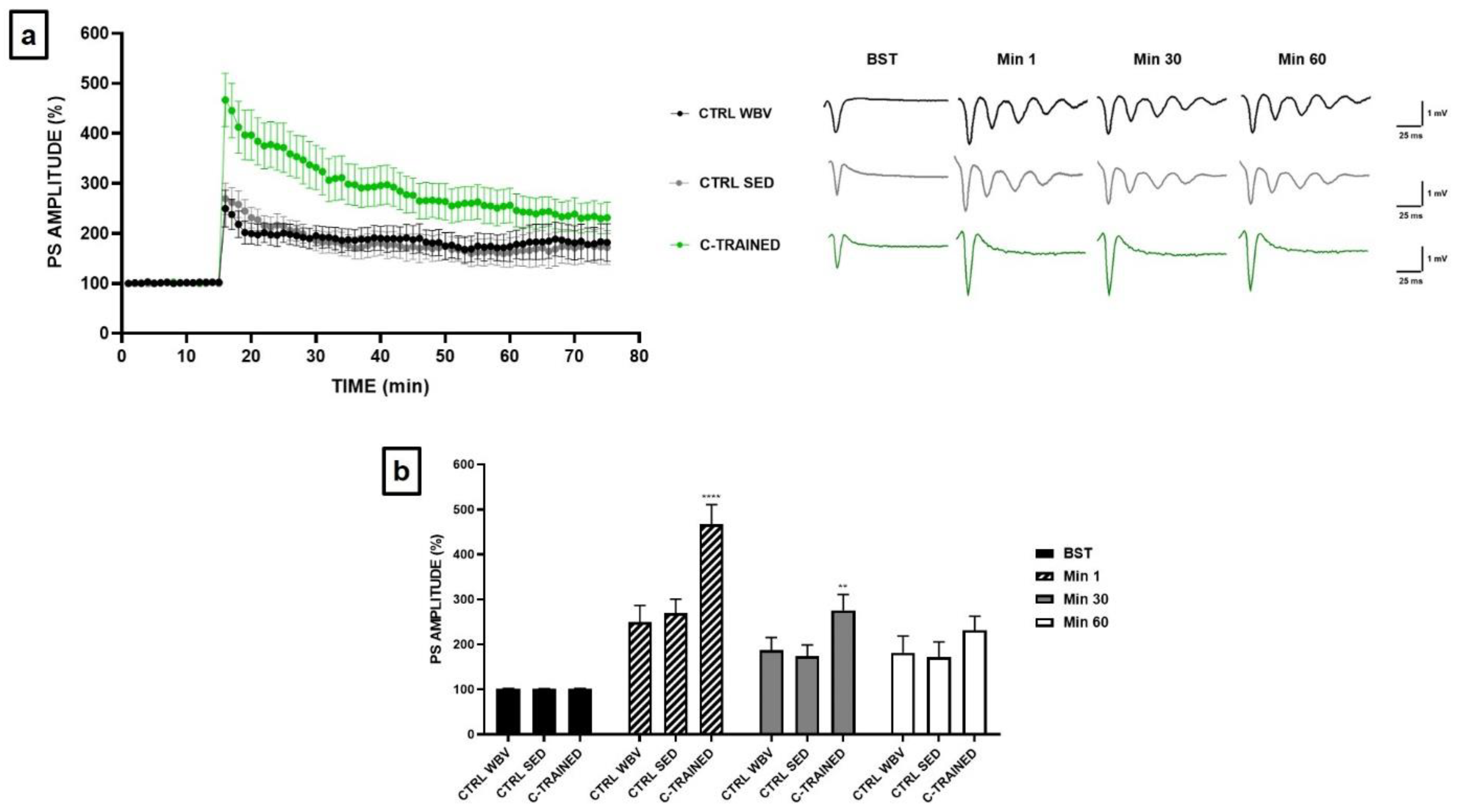 Brainsci 11 00082 g004