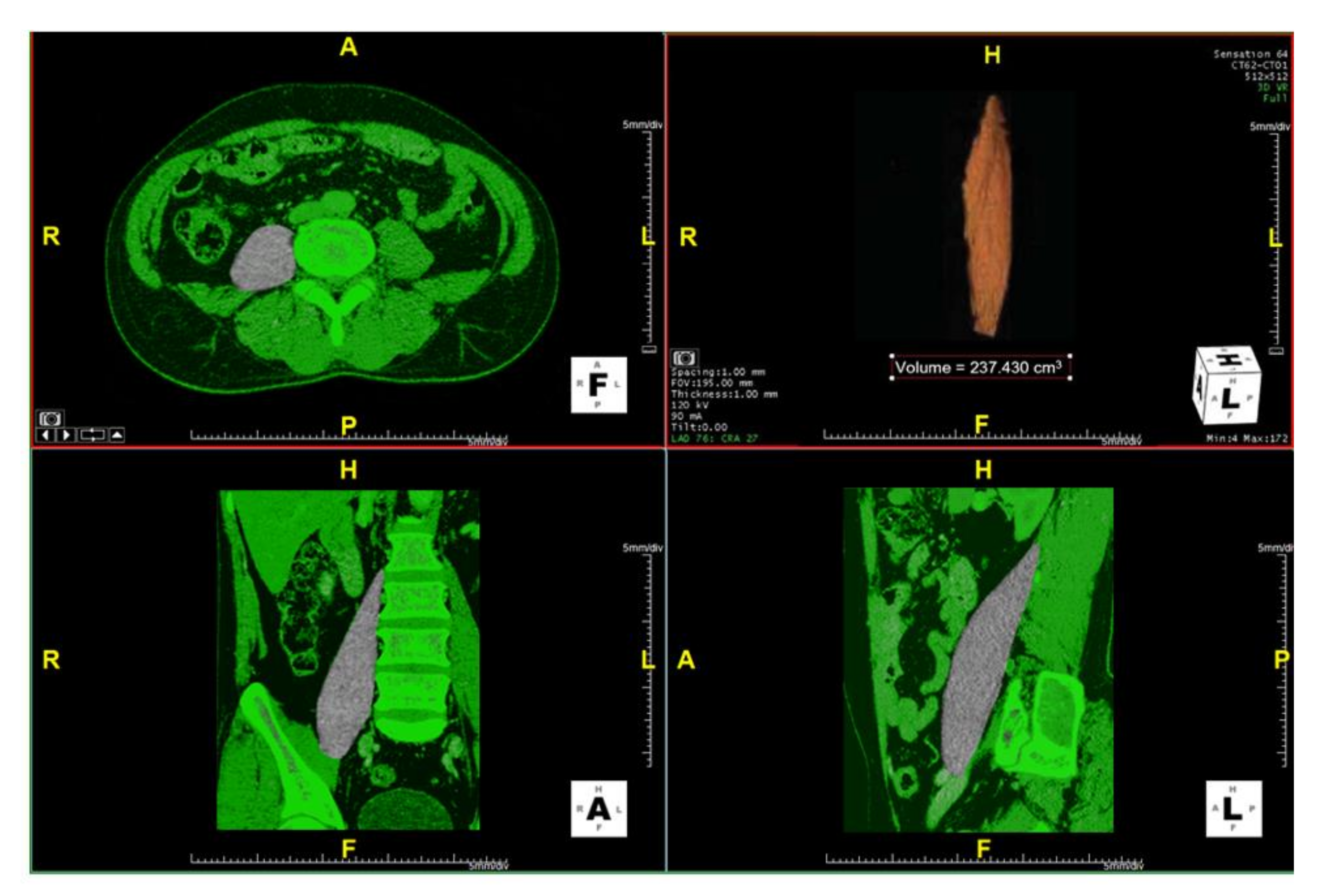 Brainsci 11 00357 g001 Brainsci 11 00357 g001