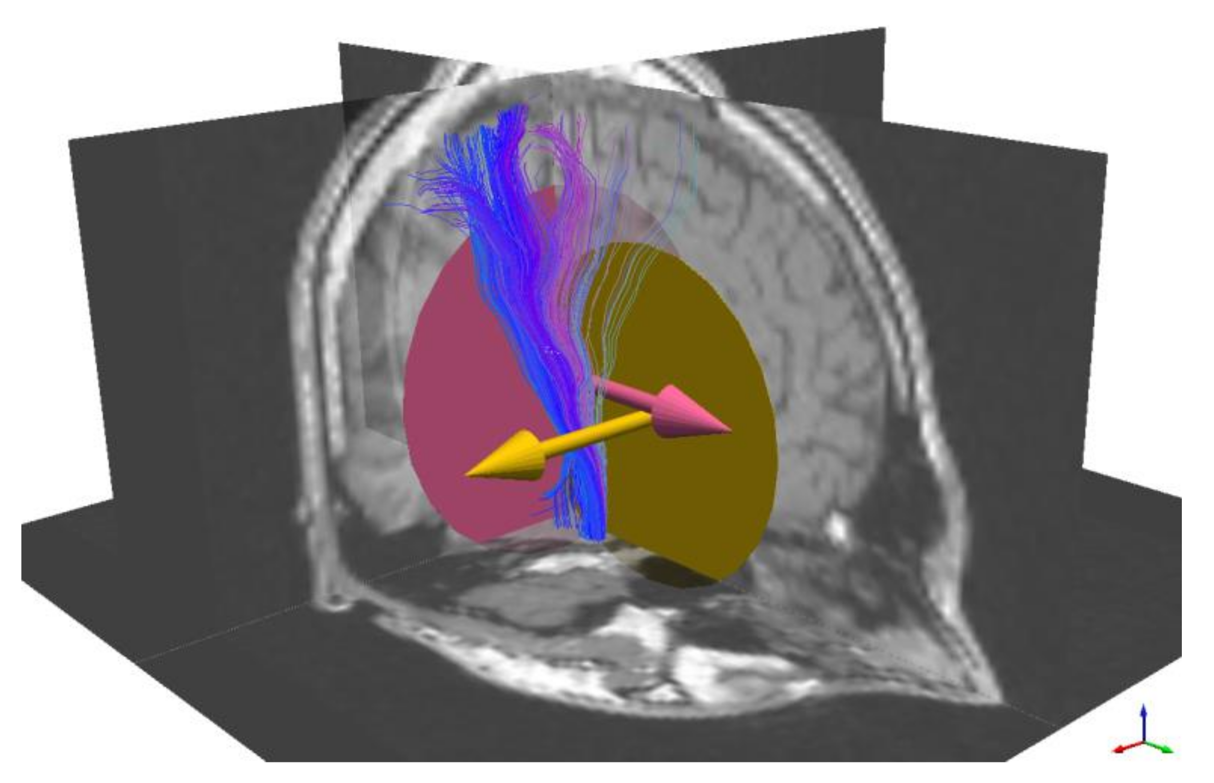 Brainsci 11 00381 g0a4 Brainsci 11 00381 g0a4
