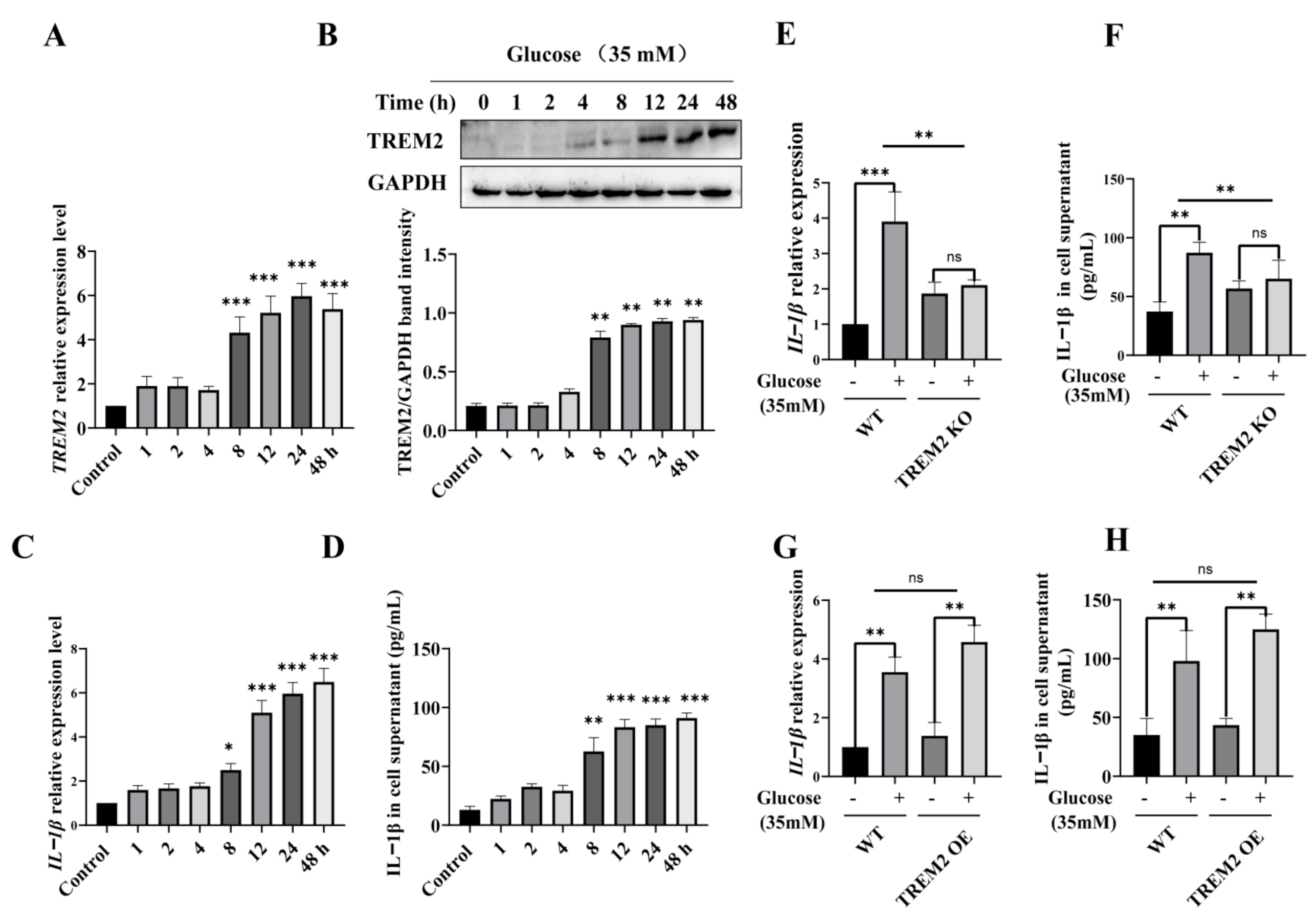 Brainsci 11 00896 g001