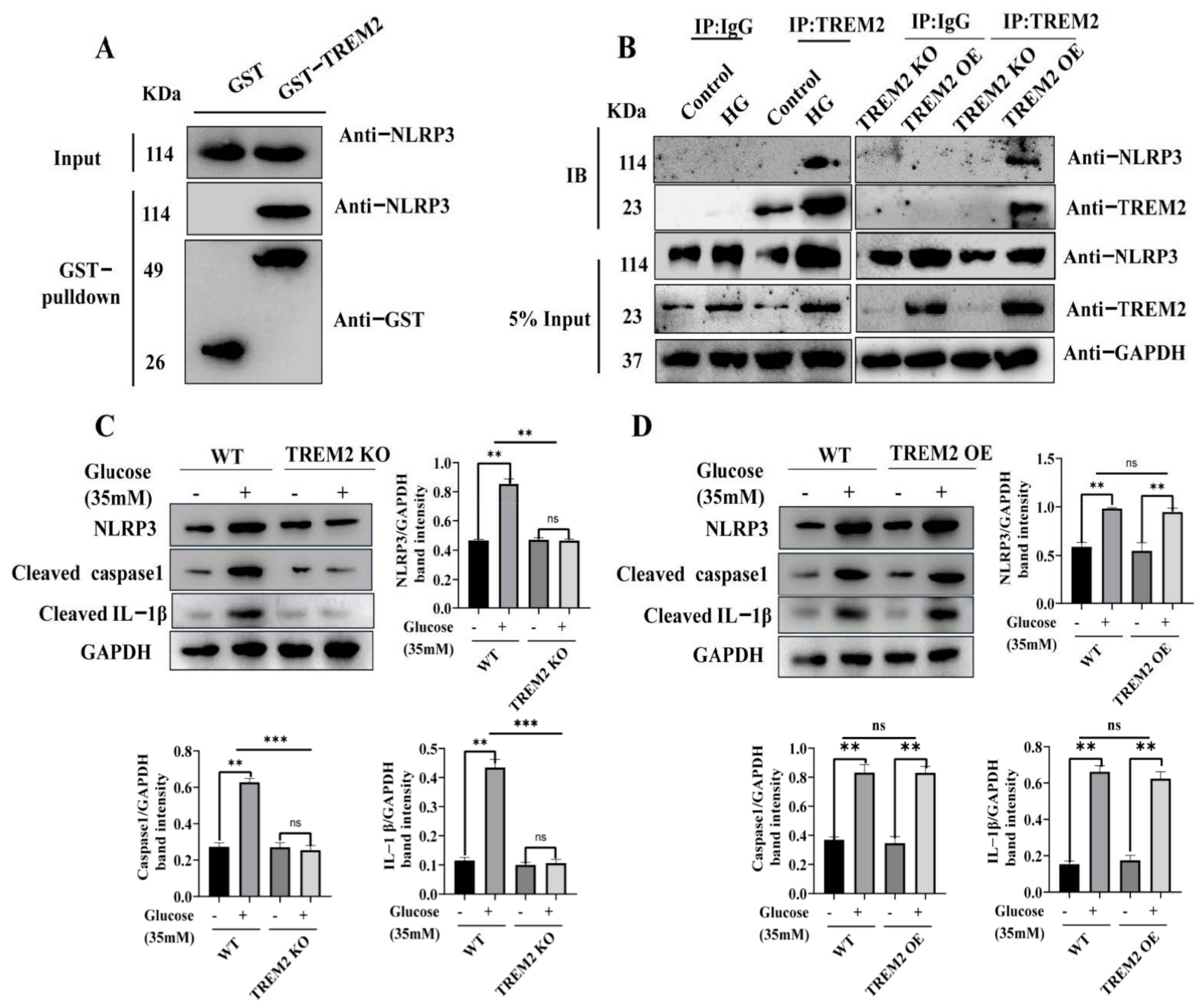 Brainsci 11 00896 g002