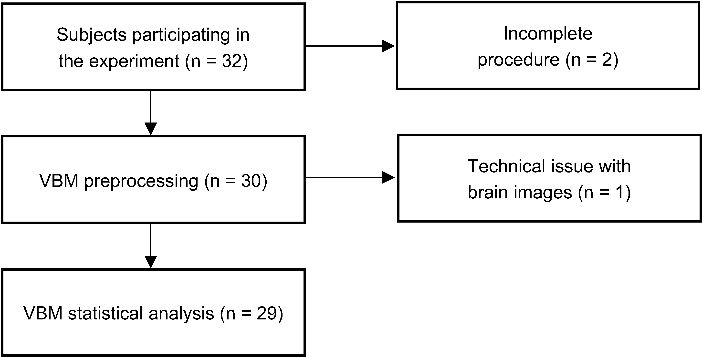 Brainsci 12 01460 g001 Brainsci 12 01460 g001