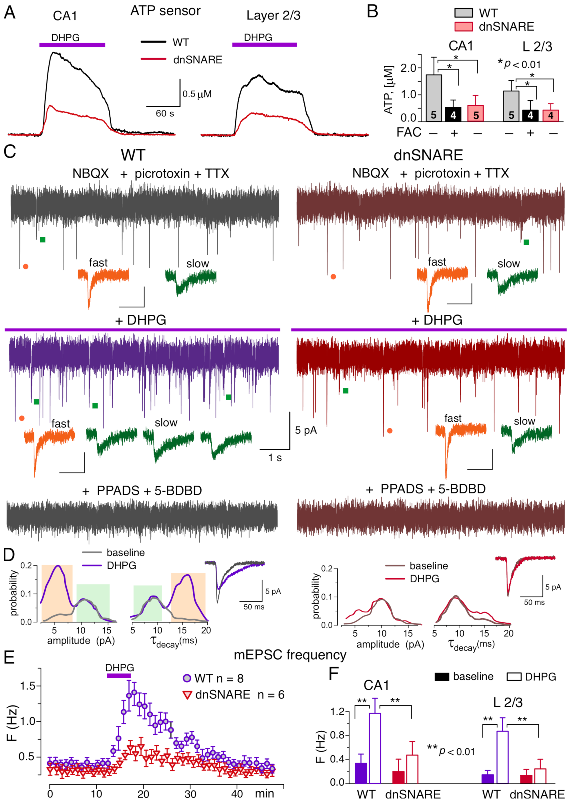 Brainsci 12 01718 g002