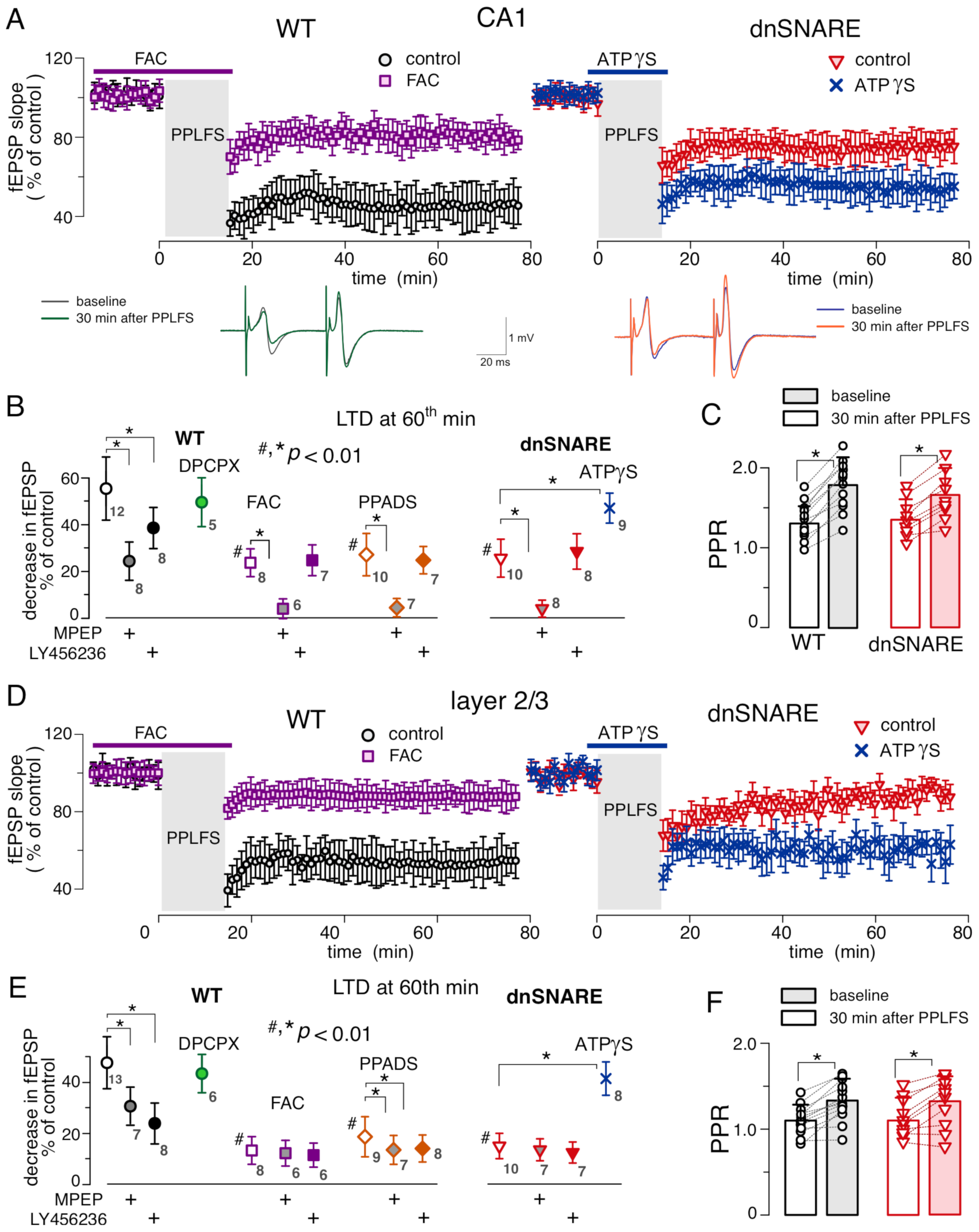 Brainsci 12 01718 g004