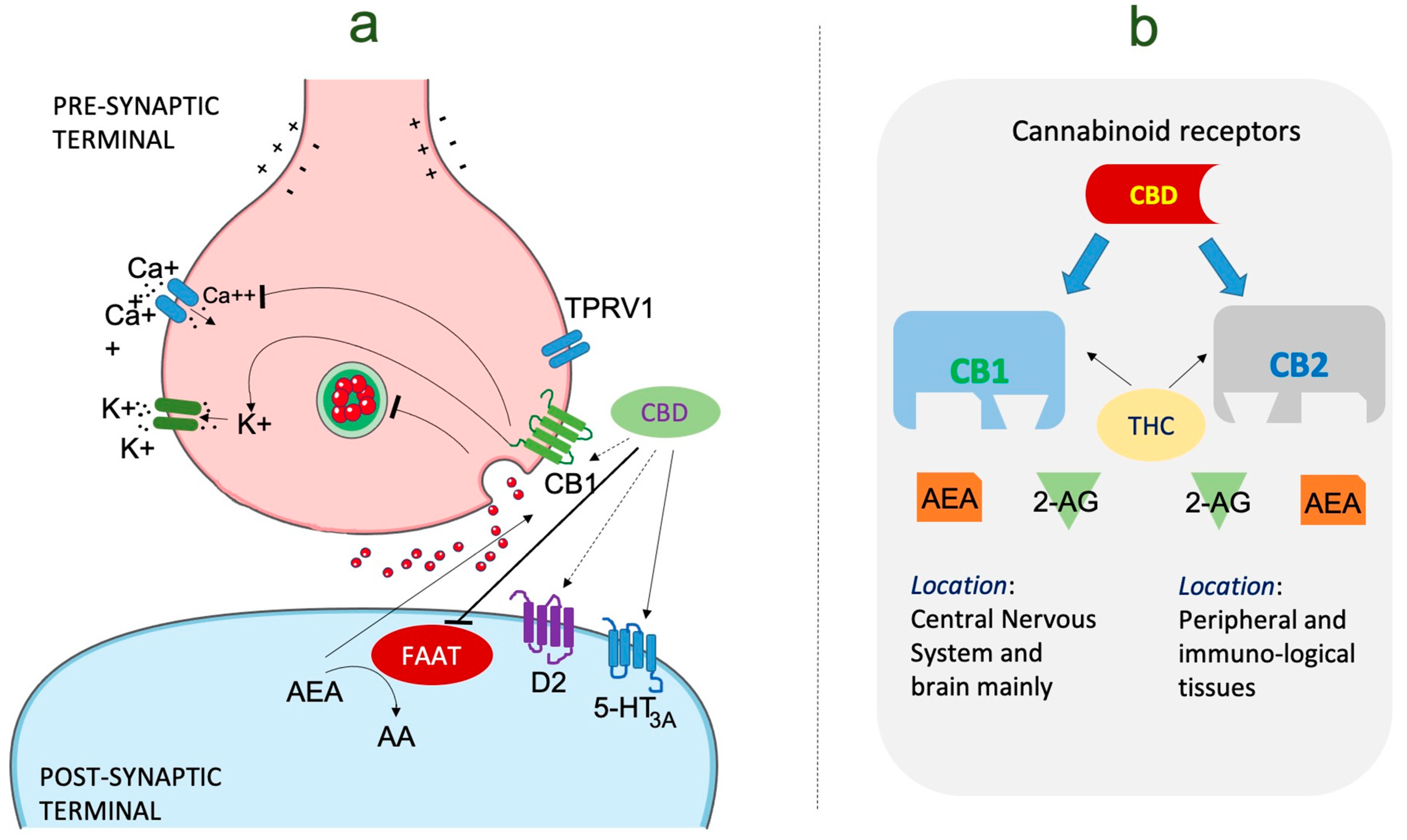 Brainsci 13 01305 g002