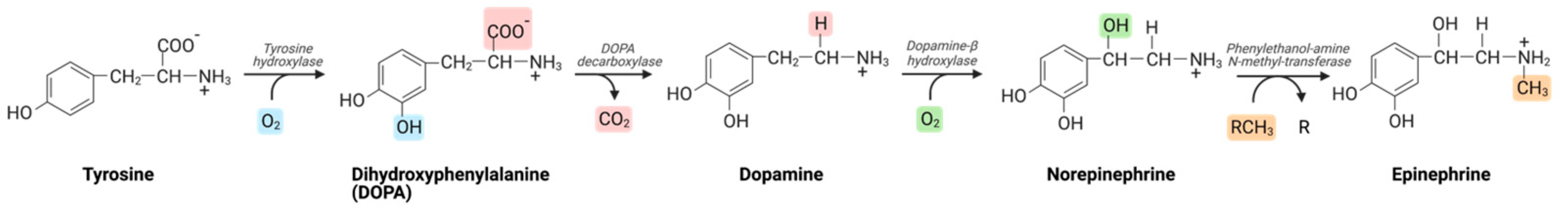 Brainsci 14 00117 g004