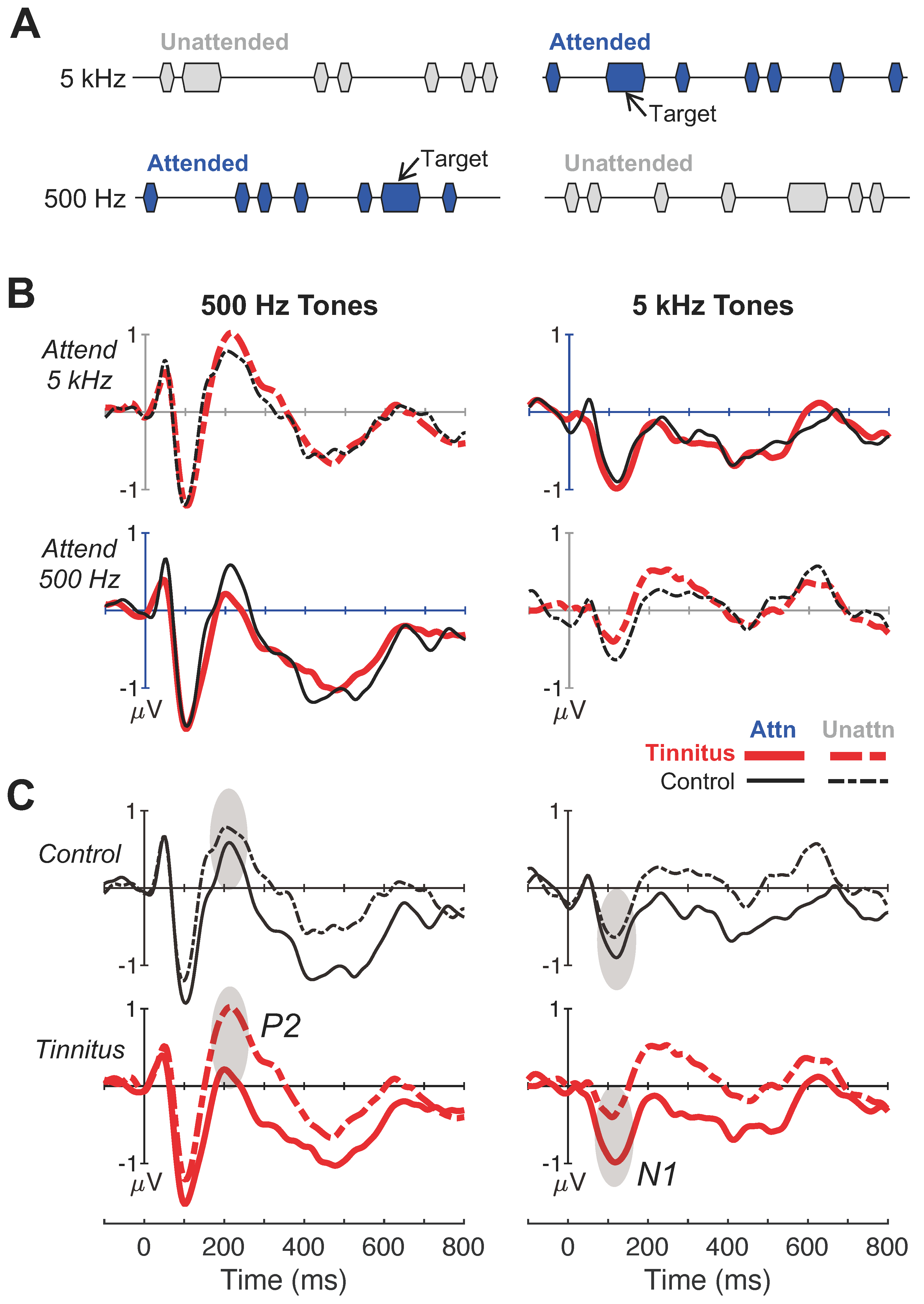 Brainsci 14 00421 g003