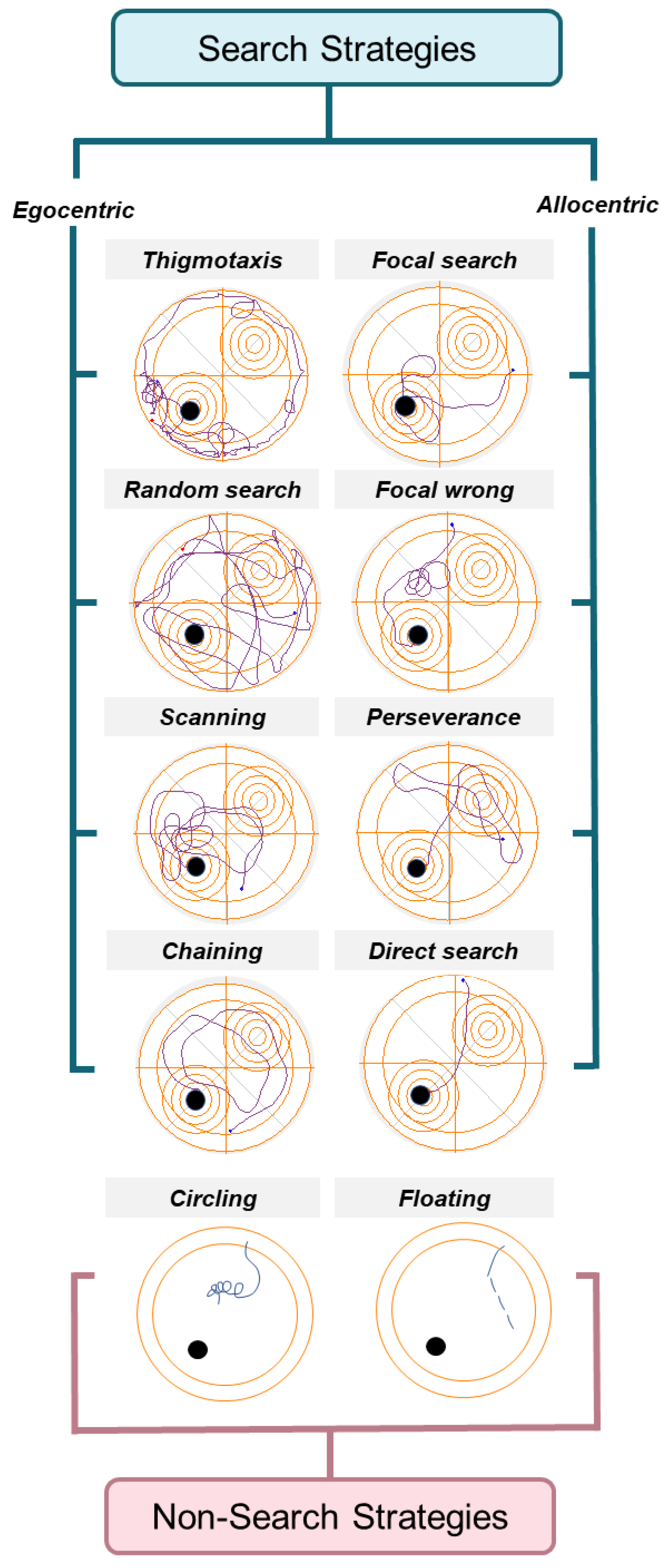 Brainsci 14 00501 g001