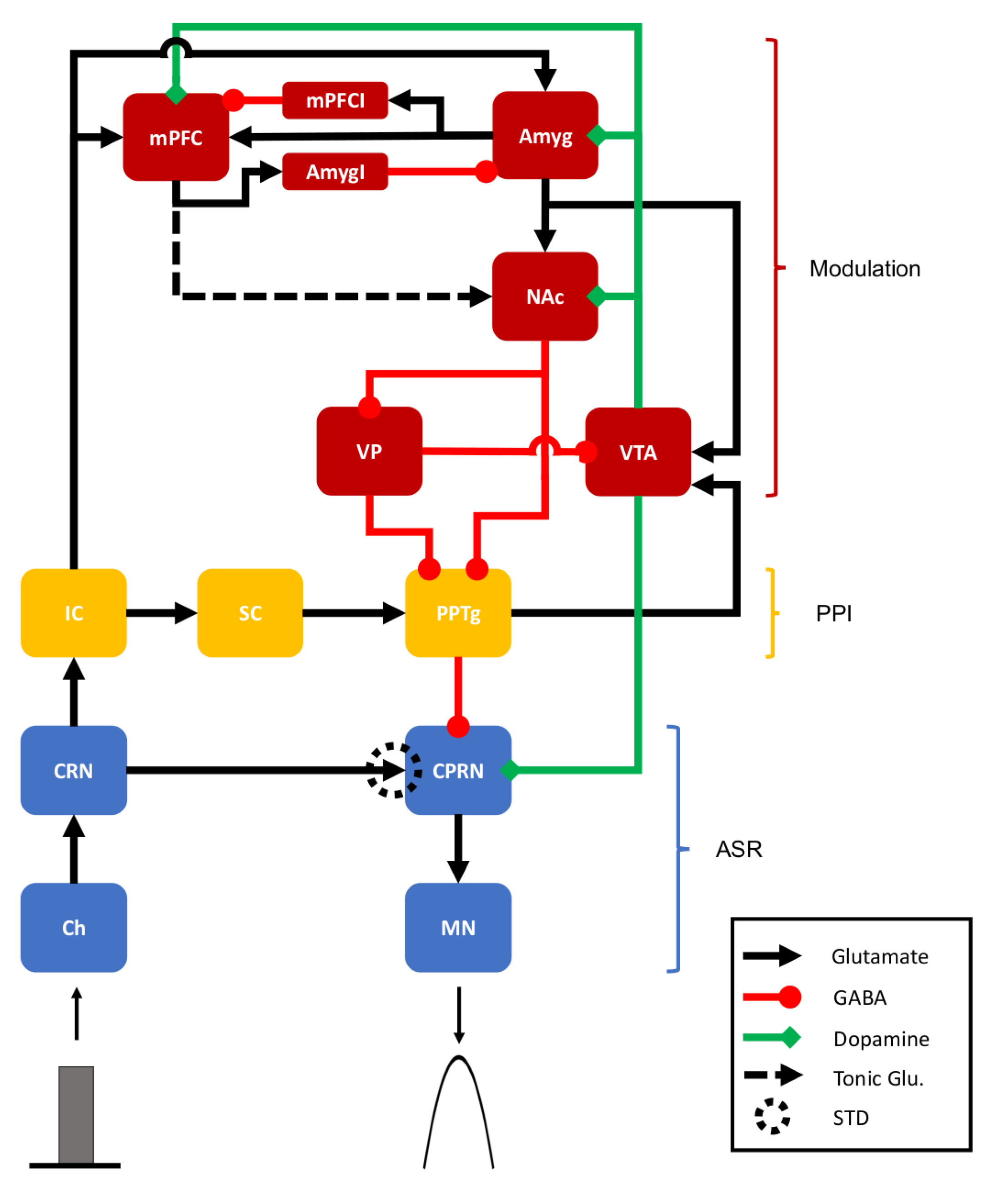 Brainsci 14 00502 g001