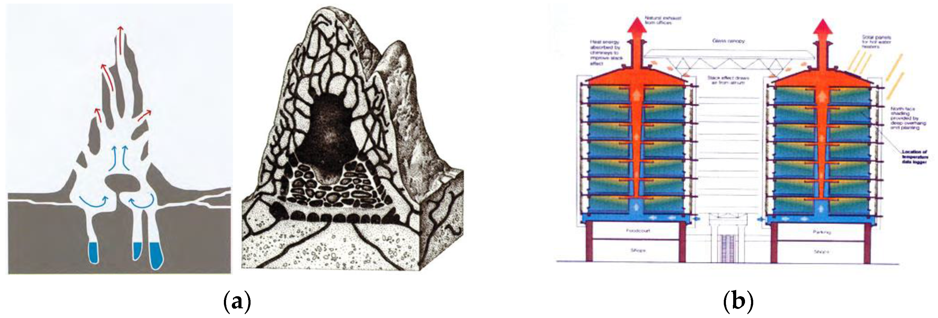 Thesis on biomimicry